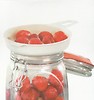 Einkochen:  Einkochen und Einmachen von Marmelade, Apfelmus, Birnen, Saft, ...
