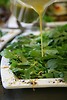 Salat:  Salat waschen, zubereiten, w�rzen, ...