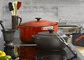 Braten:  Br�ter, G�nsebr�ter, Saftbr�ter, R�mertopf, Fettreduzierkanne, Bratenspritze