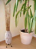 Design - Lampe Buschfeuer Perlen weiss 110 cm