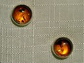 Bernstein Ohrstecker eingefasst rund � 90219