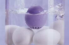 Piep Ei in kochendem Wasser