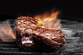 Steak Champ Grill Thermometer