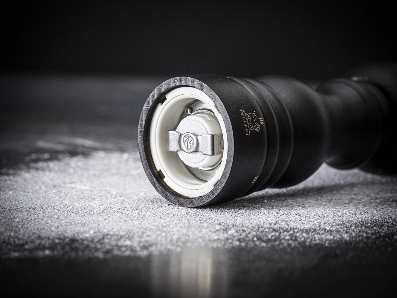 Peugeot Paris Salzmühle graphite grau 18 cm 18 cm 4