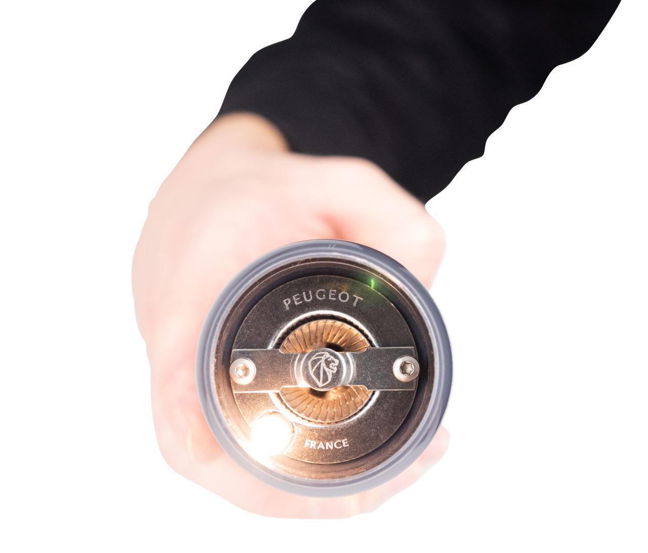 Peugeot Alaska Elektrische Salzmühle grau 3