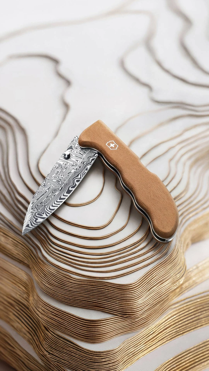 Victorinox Taschenmesser Limited Edition 2026 10