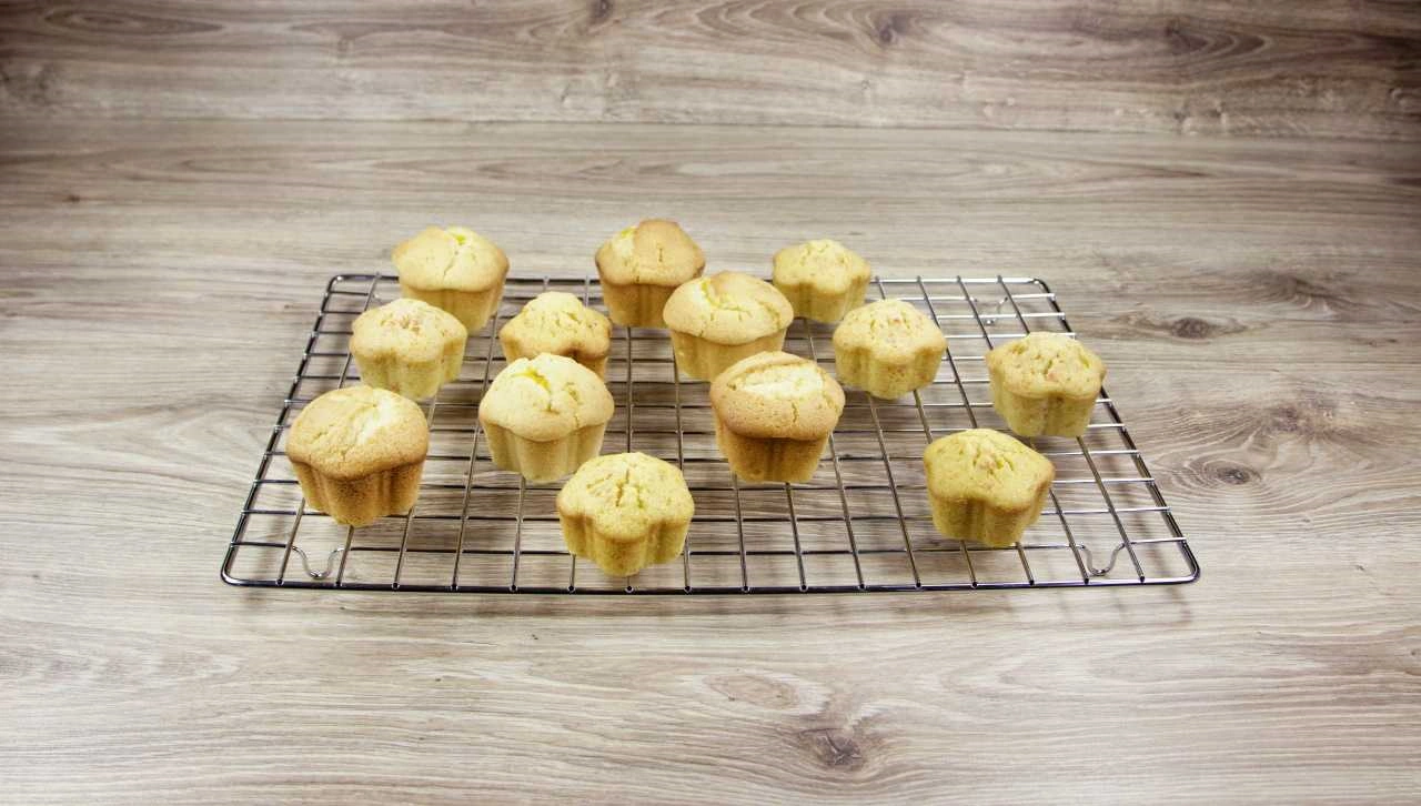 Städter Tortengitter / Kühlgitter 4