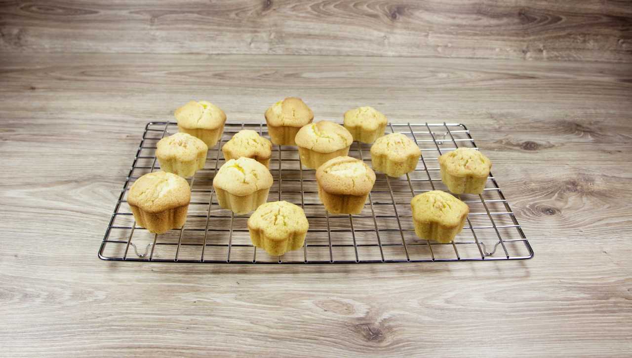 Städter Tortengitter / Kühlgitter 3