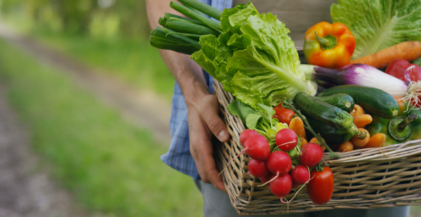 Mit dünsten behält Gemüse nicht nur seine Farbe, sondern auch seine Vitamine