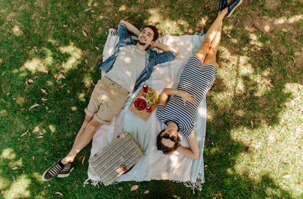 Im Sommer ist ein Picknick eine tolle Idee für Familien, Freunde und Paare